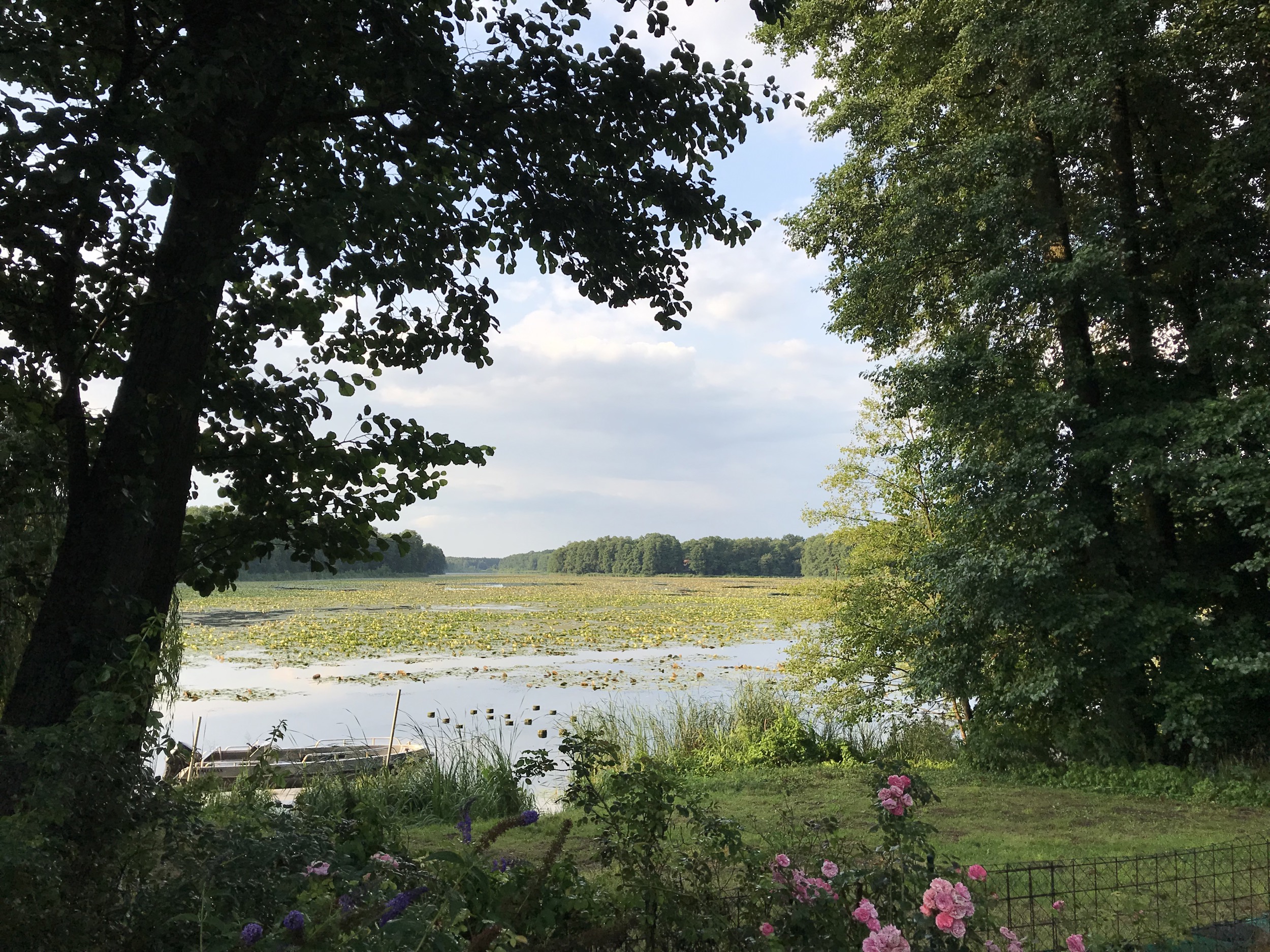 blick auf kersdorfer see von park villa kersdorf briesen ferienhaus