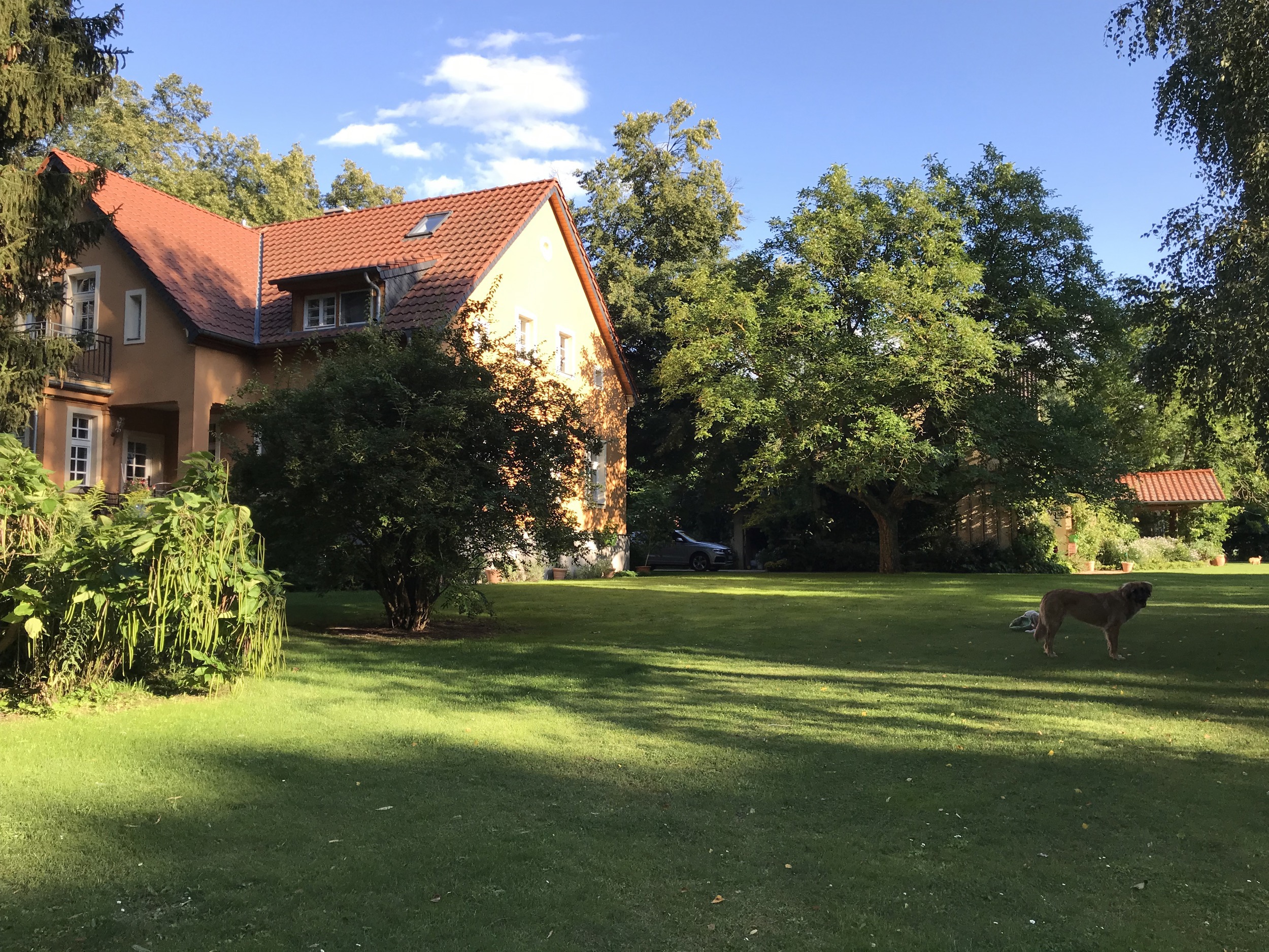 blick auf poolhaus von see villa kersdorf briesen ferienhaus