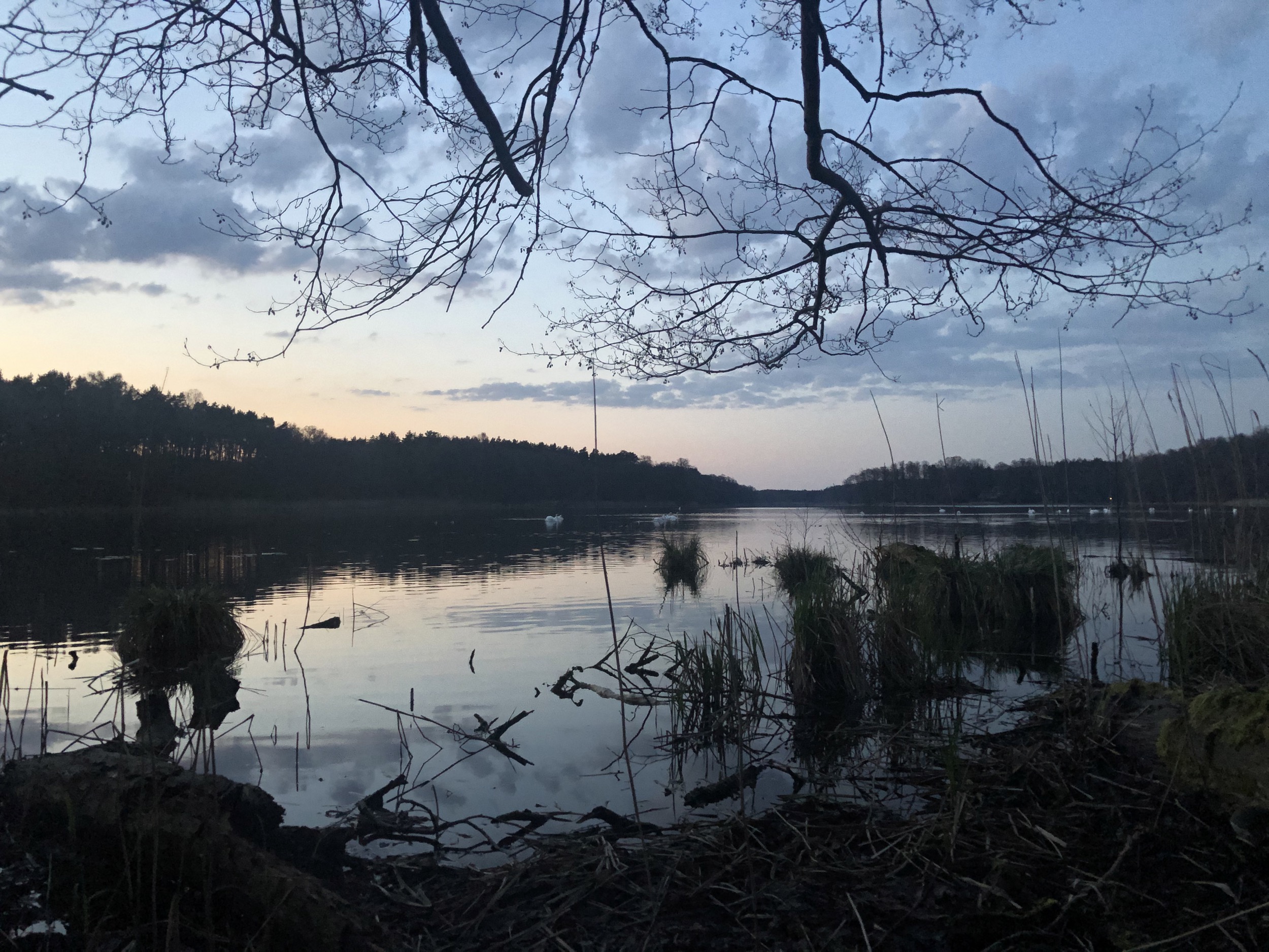 kersdorfer see sonnenuntergang villa kersdorf briesen ferienhaus